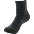 thumbnail image 2 of Darn Tough Men's Hiker 1/4 Cushion Sock, 2 of 2