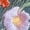 White, variant on Floral Embroidered Sweatshirt: Wildflower Bouquet, Cottagecore Style