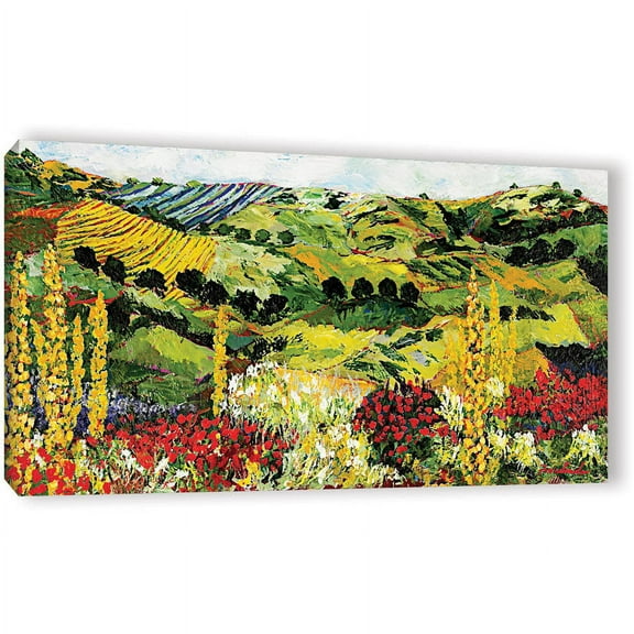 ArtWall Allan Friedlander "Heavenly View" Gallery-wrapped Canvas