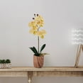 thumbnail image 6 of Home Accents 16-Inch Artificial Real Touch Phalaenopsis Orchid in Faux Wood Cement Pot, 6 of 6