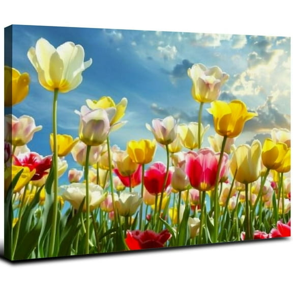 JRXY Canvas Wall Art Print Multicolored Tulip Flowers Home Decoration Hotel Decorative Painting( Ready to Hang) 20x16inch