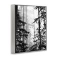 thumbnail image 2 of Forest Light Shining Through Tall Trees Landscape Photography Gray Framed Giclee Art, 11 x 14, 2 of 7