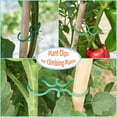 thumbnail image 2 of 100pcs Fixed Plant Support Clips Tomato Plant Support Clips, 2 of 5