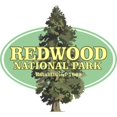 thumbnail image 3 of CafePress - Redwood National Park Mugs - 15 oz Ceramic Large White Novelty Mug, 3 of 6