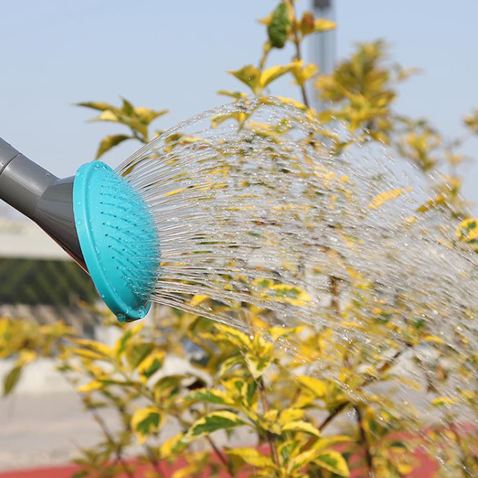 Precisions Sprays 9L Watering Can with Ergonomic Grip Plastic Construction for Delicate Flowers and General Gardening