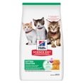 thumbnail image 1 of Kitten Chicken Recipe - Dry Kitten Food, 1 of 1