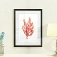 thumbnail image 3 of Coral Kelp I - Barnwood Framed - 18 x 24 - Black, 3 of 4