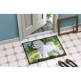 thumbnail image 2 of Carolines Treasures SS8900MAT Bichon Frise Doormat 18x27 27"L x 18"W multicolor, 2 of 4