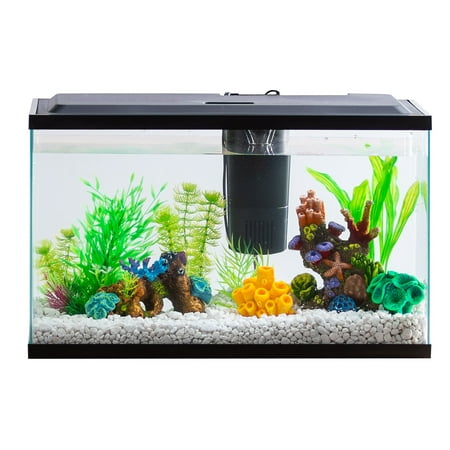 Aqua Culture 10-Gallon Aquarium Starter Kit With LED (Best 20 Gallon Fish Tank Setup)