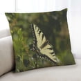 thumbnail image 1 of Ahgly Company Coussin d'Intérieur Papillon Insectes, 18 Pouces par 18 Pouces, 1 of 6