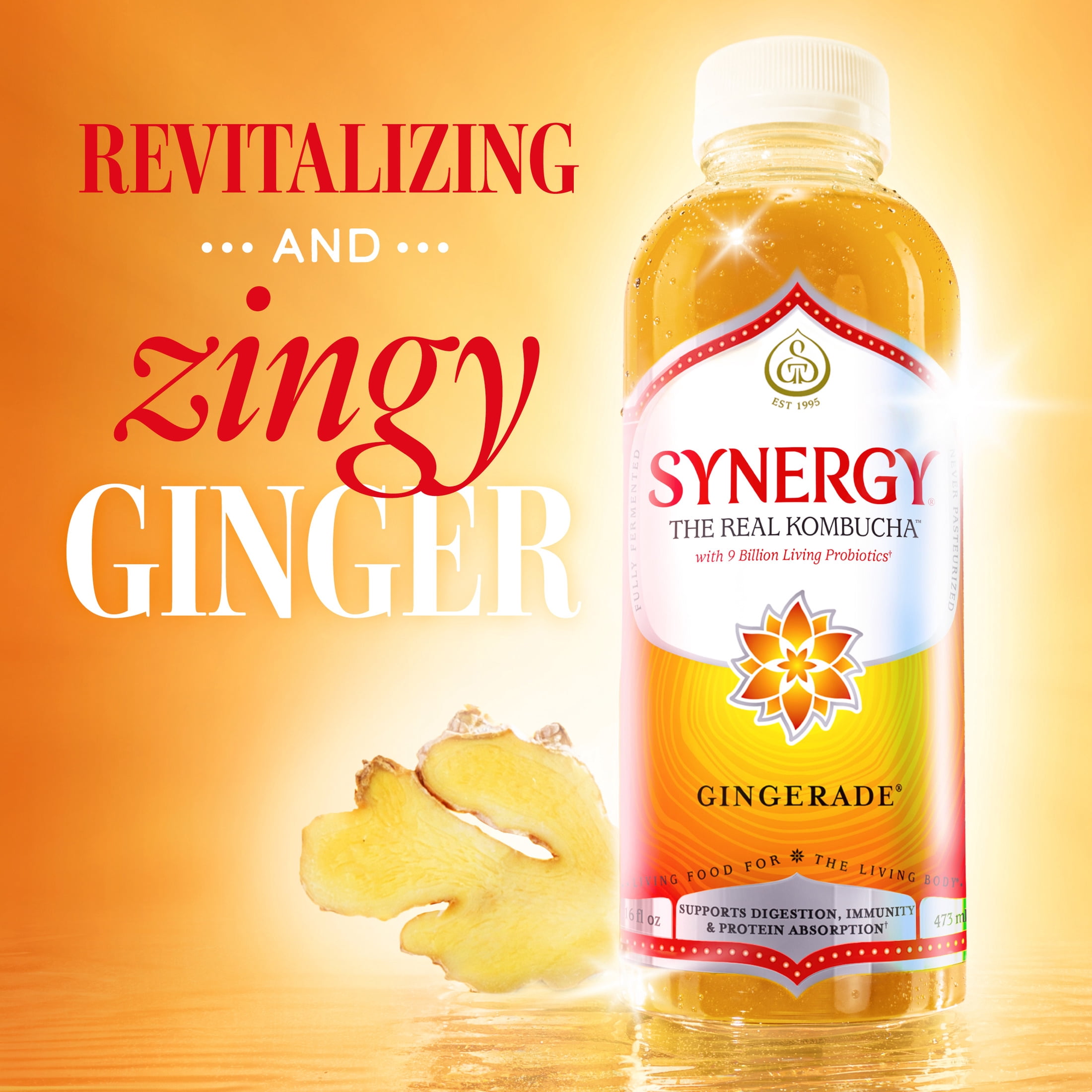 GT's Synergy Gingerade Kombucha 16 fl oz