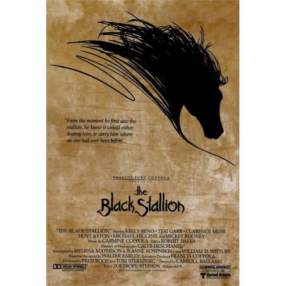 The Black Stallion Movie Poster Print (27 x 40)