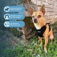 thumbnail image 4 of Air Frontier Mesh Dog Harness with Steel Leash D-Ring, Reflective Stitching, and Lightweight Breathable No-Pull Design, Adjustable Neck and Chest Straps for Small to Large Breeds - BK, L, 4 of 9