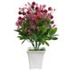 thumbnail image 1 of Flor artificial Bonsai Plástico Planta falsa Maceta Simulación en el hogar Decoración de flores en maceta eigraketly HA8734-00B, 1 of 6