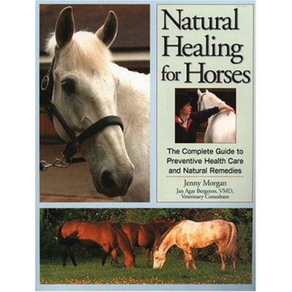 Pre-Owned Natural Healing for Horses: The Complete Guide to Preventative Health Care and Natural Remedies (Paperback) 1580174027 9781580174022
