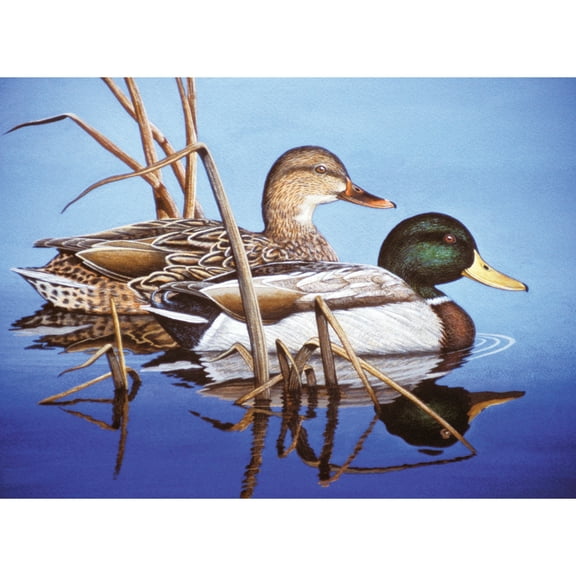 Paint By Number Kit 15.375"X11.25"-Blue Water Mallards