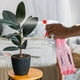 thumbnail image 4 of Fiudx Regadera a Presión, Pulverizador de Plástico de Gran Capacidad, Boquilla de Riego Ajustable, Recarga Fácil de Limpiar, Ideal para Jardinería, Lavado de Autos y Cuidado de Plantas, Uso Doméstico, 4 of 6