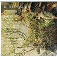 thumbnail image 2 of Kurt Vile - b'lieve i'm goin down - Music & Performance - Vinyl, 2 of 2