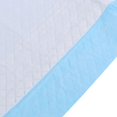 thumbnail image 3 of 50-Pack Puppy Mat - M, 3 of 3