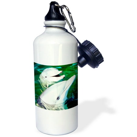 

3dRose Bottlenose Dolphin Sports Water Bottle 21oz