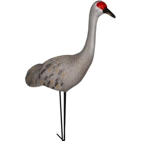 Live Full Body Sandhill Crane Upright Decoys$$Other