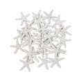 thumbnail image 1 of LJY 25 Piezas Lápiz de Resina Blanca Dedo Estrella de Mar para Decoración de Bodas Decoración del Hogar y Proyecto de Manualidades 2,3 Pulgadas, 1 of 1