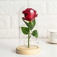 thumbnail image 1 of Regalo de San Valentín, Rosa eterna en cúpula de cristal, Regalo de flores de cumpleaños para el Día de la Madre, Flores de rosas artificiales, Rosa eterna, Una, 1 of 5