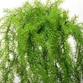 thumbnail image 2 of Artificial Hanging Plants 4pcs Artificial Fake Hanging Curly Seaweed Ferns Plant Faux Fake Hanging Plant Outdoor UV Resistant Plastic Plants (Ferns), 2 of 5
