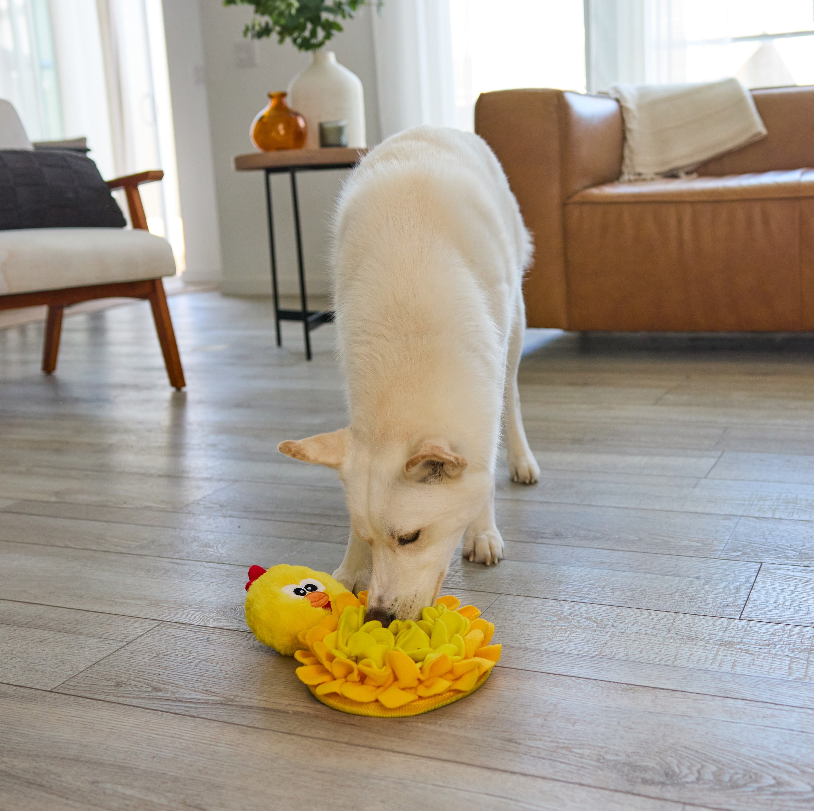 Outward Hound by Nina Ottosson Snuffle Palz 13.4" Squeaky Dog Toy, Chicken