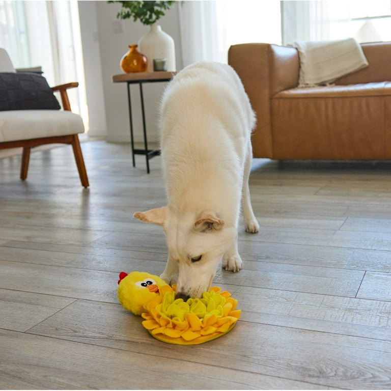 Outward Hound Snuffle Palz Plush Dog Puzzle, Treat-Dispensing