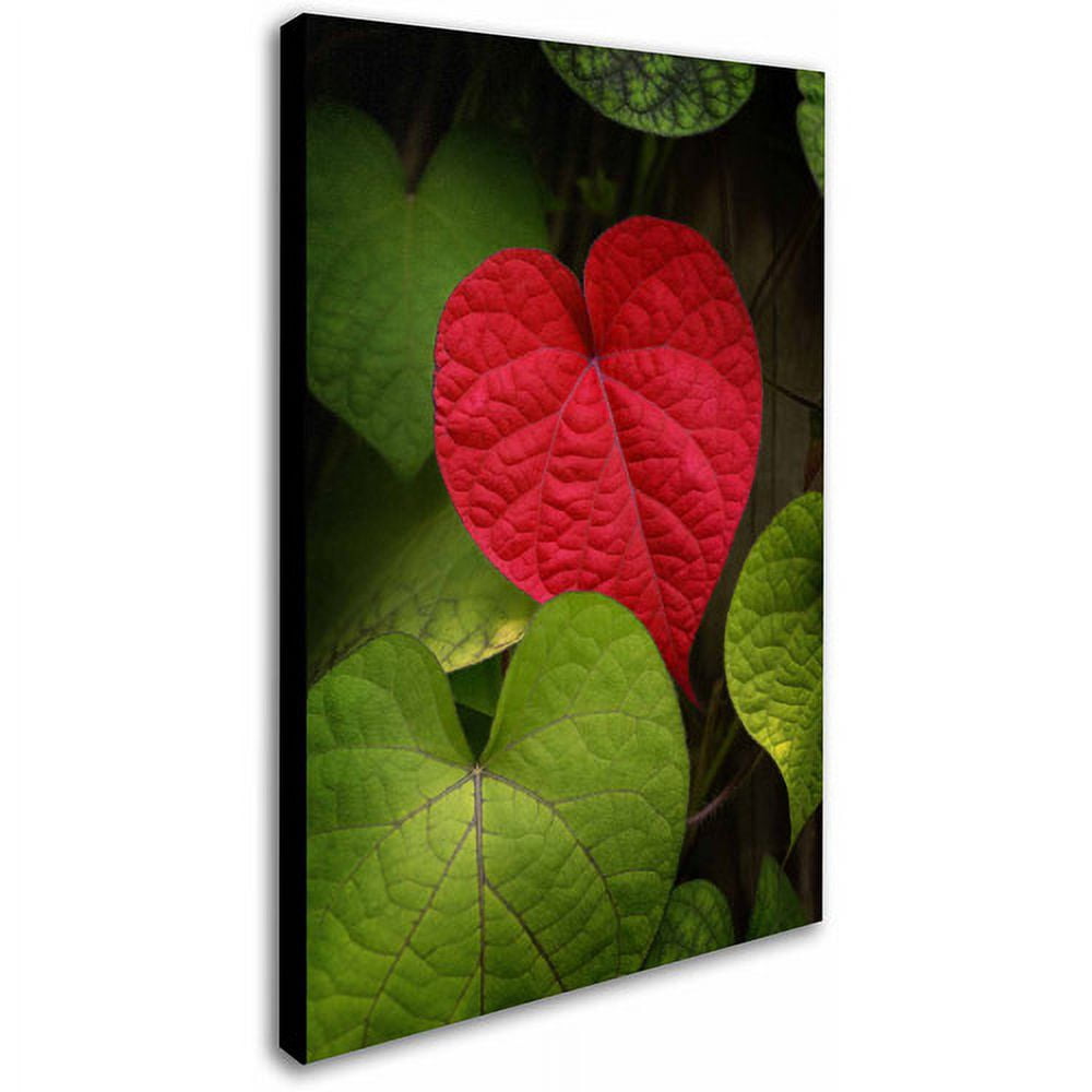 Trademark Fine Art "Heart to Take" Canvas Art by Philippe Sainte-Laudy