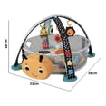 thumbnail image 5 of Gimnasio Bebe Aeiou Musical Luces Pelotas Abeja, 5 of 5
