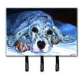 thumbnail image 1 of Carolines Treasures 7330TH68 English Setter Pup Leash & Key Holder, 1 of 1