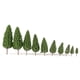 thumbnail image 5 of Modelo de árbol Zulema en Forma de Torre 30 Paquetes para Modelado de Paisajes Ferroviarios, 5 of 8