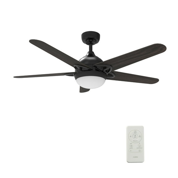 52" Smart Ceiling Fan with Dimmable LED light and 10 Speed DC