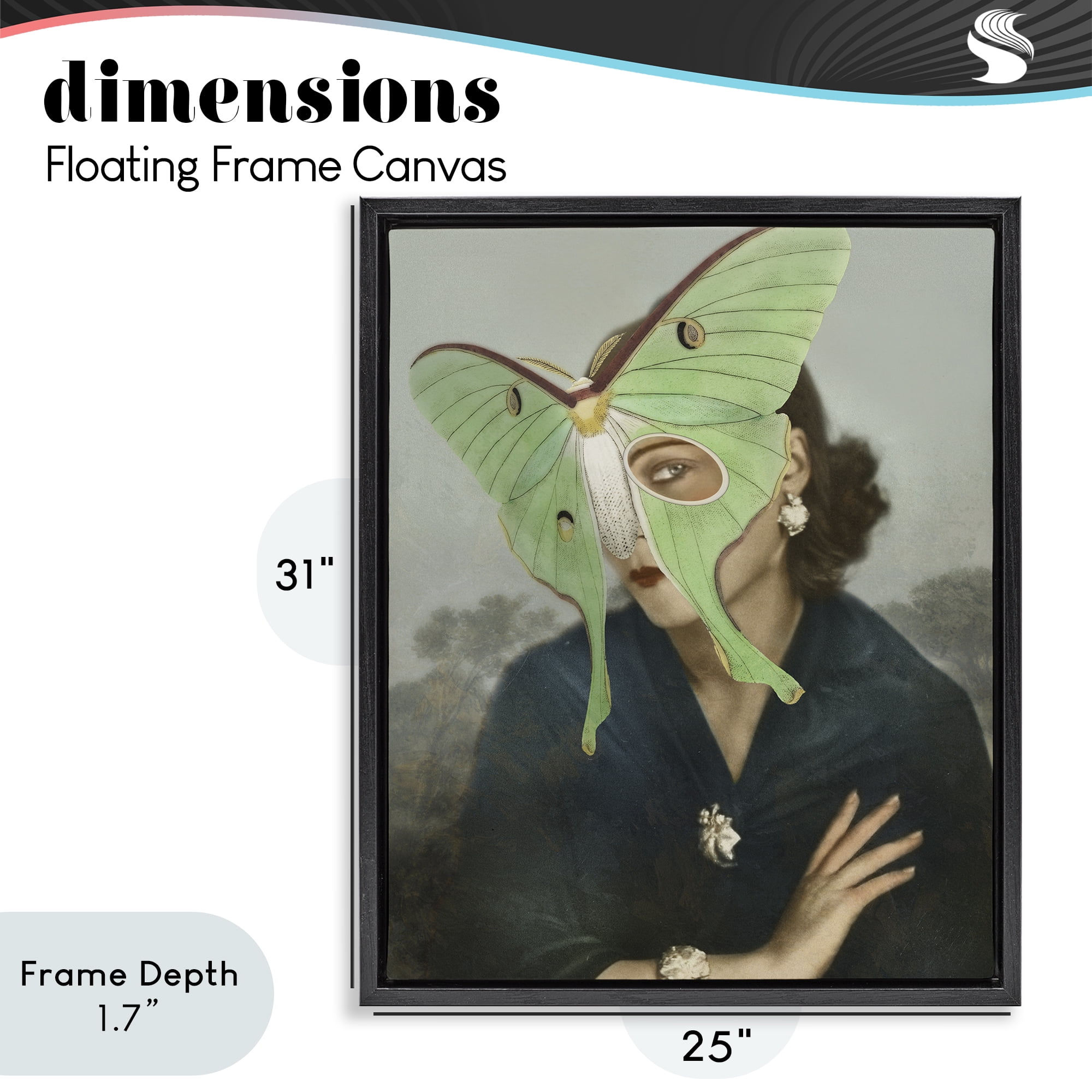 Stupell Industries Naturalist Portrait with Moth Black Framed Floater Canvas Wall Art, design by Victoria Barnes