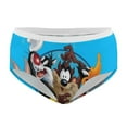 thumbnail image 3 of Looney Tunes Women's Brief Lady Lace Underwear Breathable Elastic Sexy Bikini Hipster Panties, 3 of 6