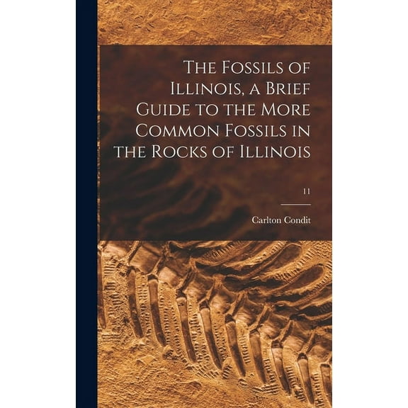 The Fossils of Illinois, a Brief Guide to the More Common Fossils in the Rocks of Illinois; 11, (Hardcover)