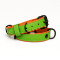 thumbnail image 1 of Dog Collar. Handmade Genuine Leather Dog Collar – Green with Orange Inner Liner, Adjustable Buckle. Buddies Collars, 1 of 5