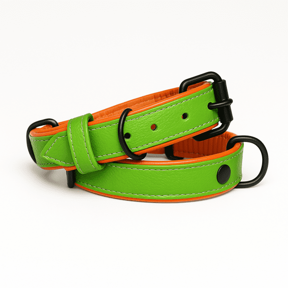 Dog Collar. Handmade Genuine Leather Dog Collar – Green with Orange Inner Liner, Adjustable Buckle. Buddies Collars