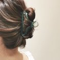 thumbnail image 5 of Juego de 6 pinzas para el pelo, de corte largo, multicolor, 5 of 5