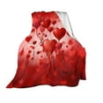 thumbnail image 2 of Hometravel Valentine's Day Heart Pattern Blanket, Soft Flannel Thermal Throw, Romantic Holiday Themed Bedspread for Couples, Gift, Home Decor, 2 of 7