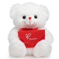 thumbnail image 1 of Oso de peluche HollyHome, oso rosa, 30 cm, blanco, 1 of 7