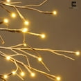 thumbnail image 2 of CAPHAUS 4 Feet, 48 inch Full Artificial Lighted Flocked Christmas Tree w/ 112 LED Lights, Twinkling Bare Branch Tree w/ Warm White Light, Star Tree Top for Festival, Holiday Decoration Indoor, 2 of 9