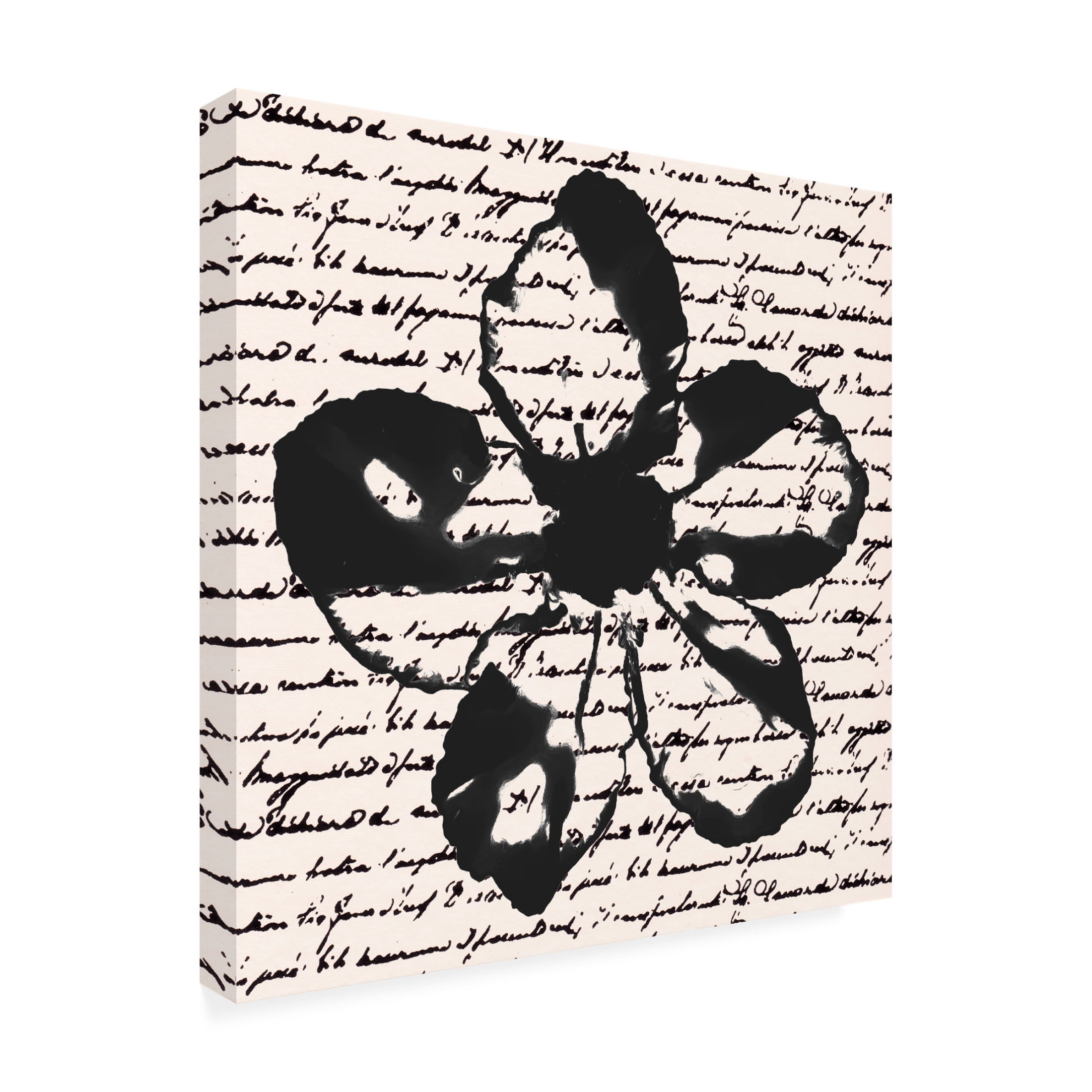 Trademark Fine Art Alonzo Saunders  Inky Floral I Canvas Wall Art