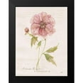 thumbnail image 2 of Robinson, Carol 15x18 Black Modern Framed Museum Art Print Titled - Soft Peony, 2 of 5