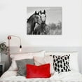 thumbnail image 5 of Acheng Black and White Horse Picture Wall Decor Animals Canvas Wall Art Romantic Horse Painting Artwork for Living Room Bedroom Office Home 20x16in, 5 of 6