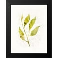 thumbnail image 2 of Borges, Victoria 15x18 Black Modern Framed Museum Art Print Titled - Sapling IV, 2 of 5