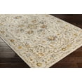 thumbnail image 3 of Boutique Rugs Coromandel Traditional Area Rug - Light Gray, Medium Gray, Cream - 2'7" x 3'11", 3 of 13