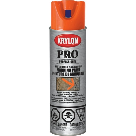 Peinture à base d'eau pour marquage en aérosol Professional, orange sécurité, 482 g